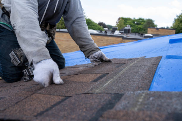 Best Roof Repair Specialists  in Sandoval, IL