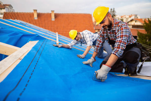 Best Roof Gutter Cleaning  in Sandoval, IL