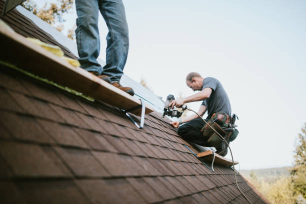Best Metal Roofing Contractor  in Sandoval, IL
