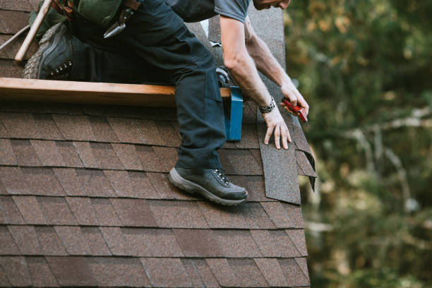 Best Roof Repair Services  in Sandoval, IL